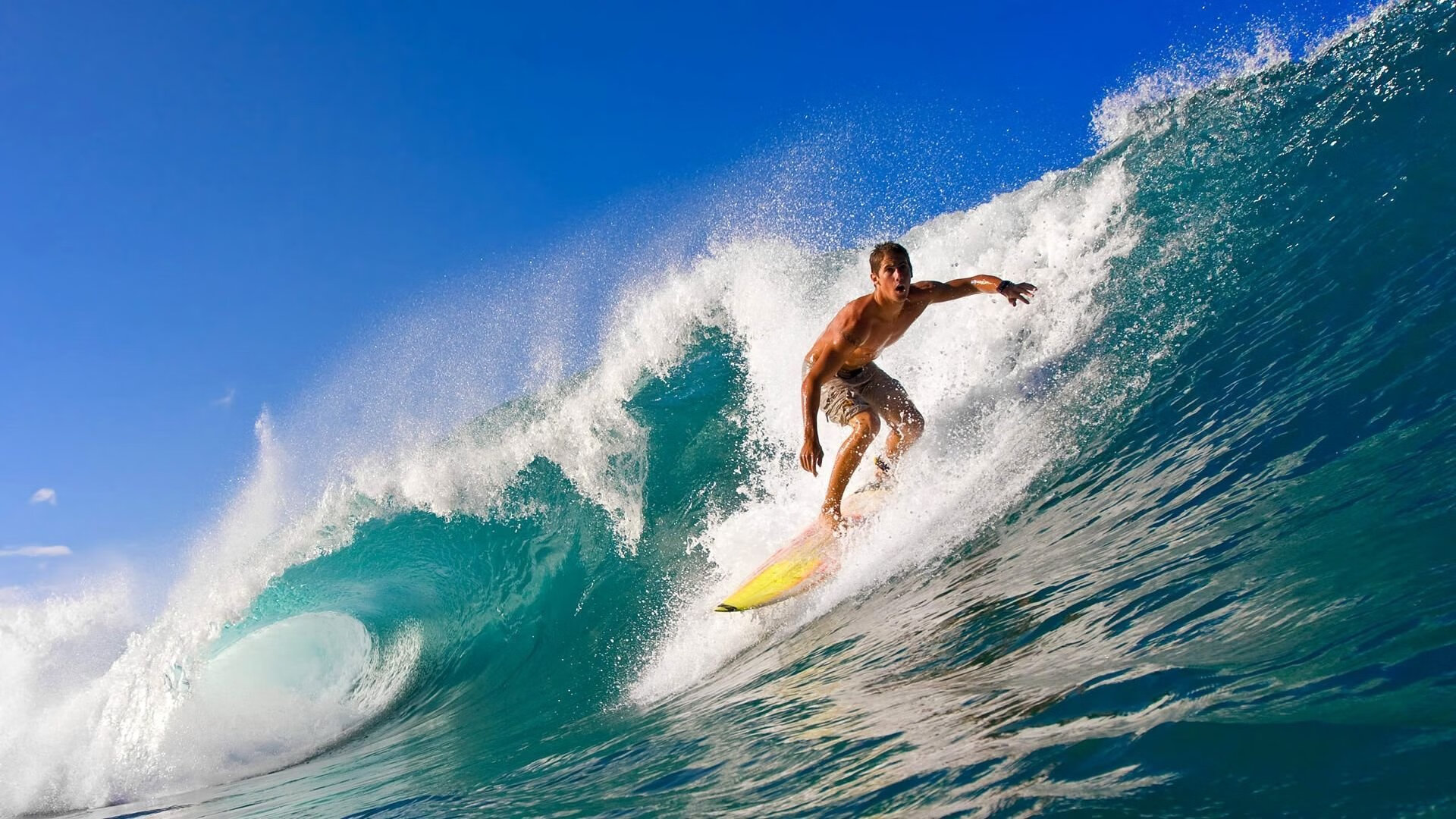 开云网页-比赛中交替领先的紧张瞬间集锦，比赛中交替领先的紧张瞬间集锦怎么写